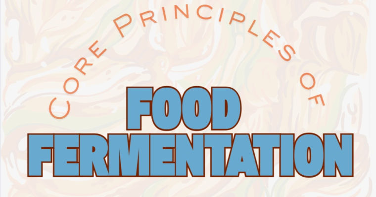 Core Principles of Food Fermentation