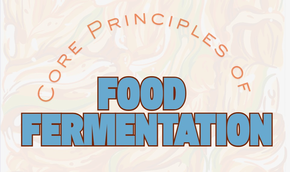 Core Principles of Food Fermentation