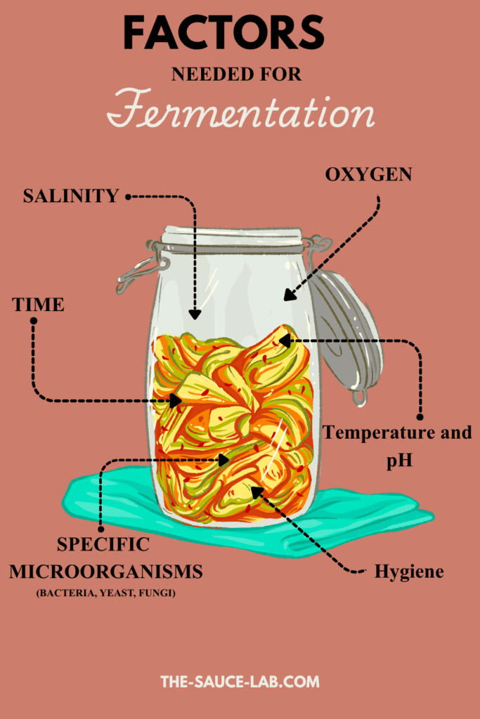 Factors needed for fermentation- the sauce-lab.com