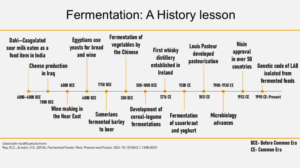 Fermentation-timeline and history of the the discovery-the-sauce-lab