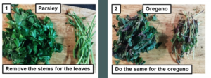Remove the leaves from the stems- the sauce lab