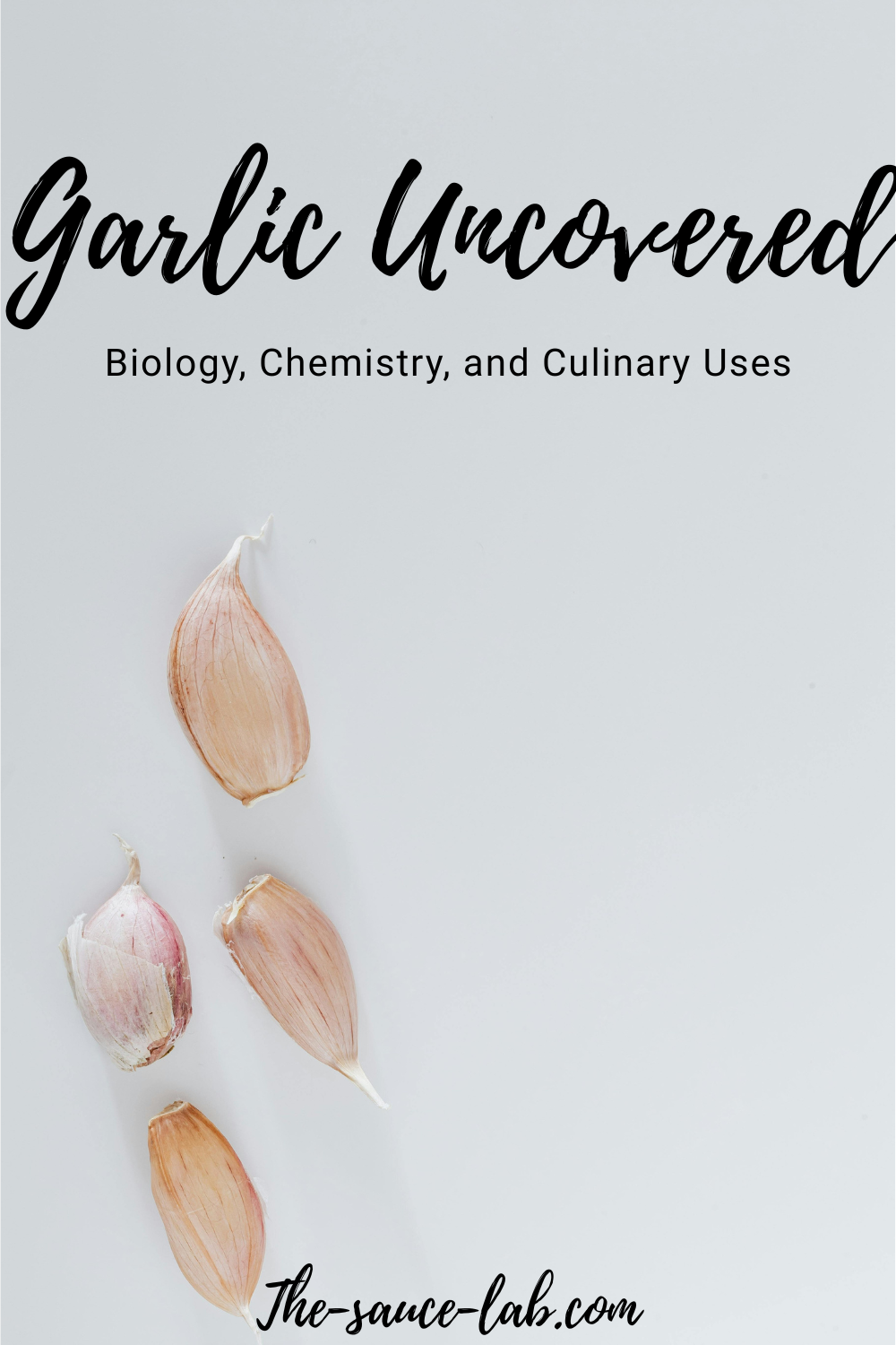 Garlic Uncovered: Biology, Chemistry, and Culinary Uses