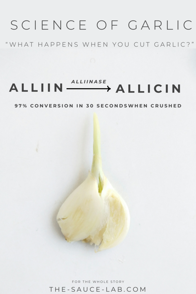 Science of Garlic flavour- If you crush garlic alliin will be converted to alliicin with the help of an enzyme called Alliianase. 