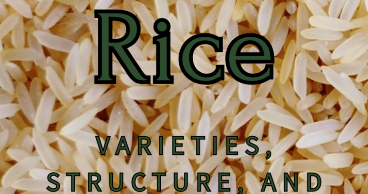 Rice: Varieties, Structure, and Classification