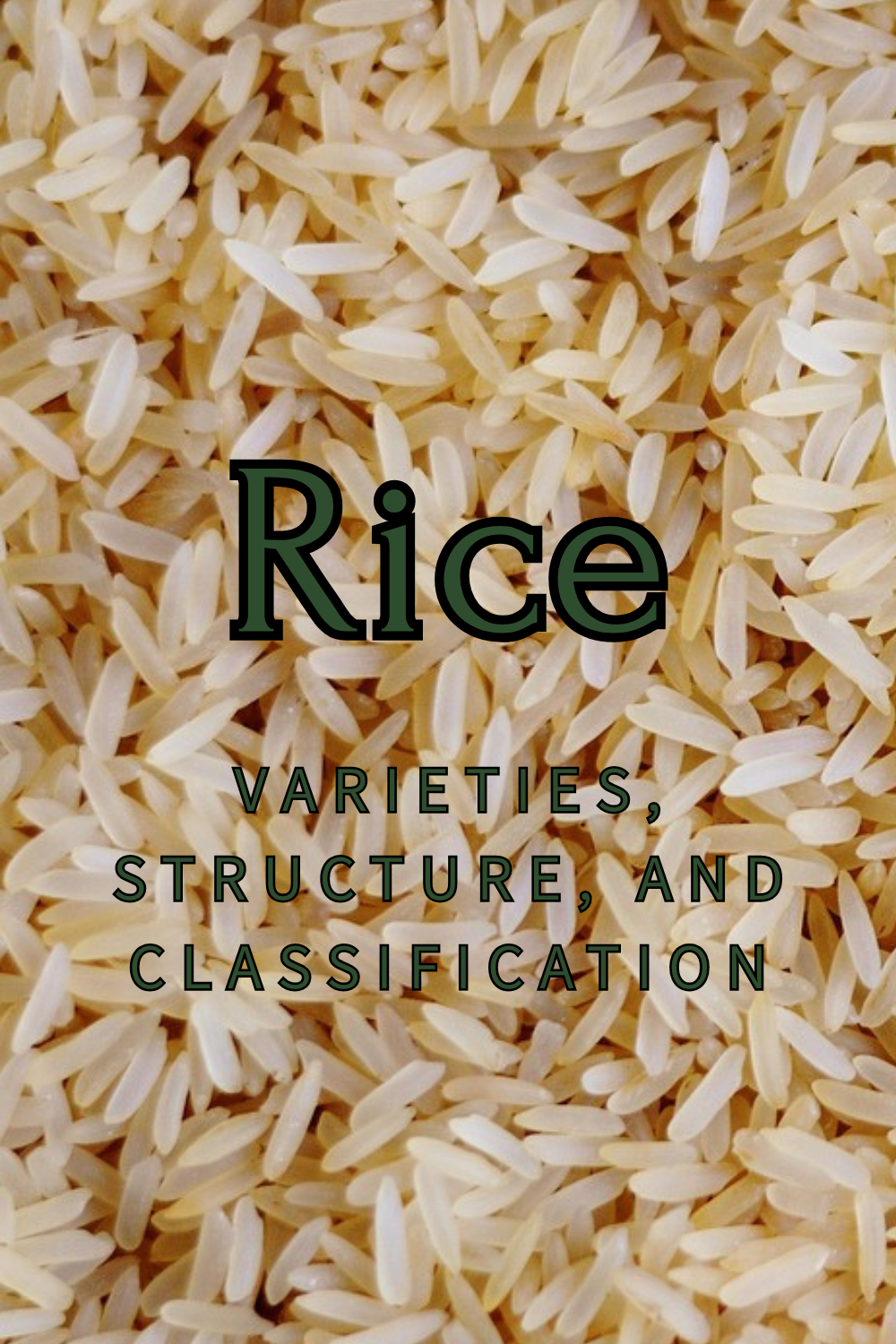 Rice: Varieties, Structure, and Classification