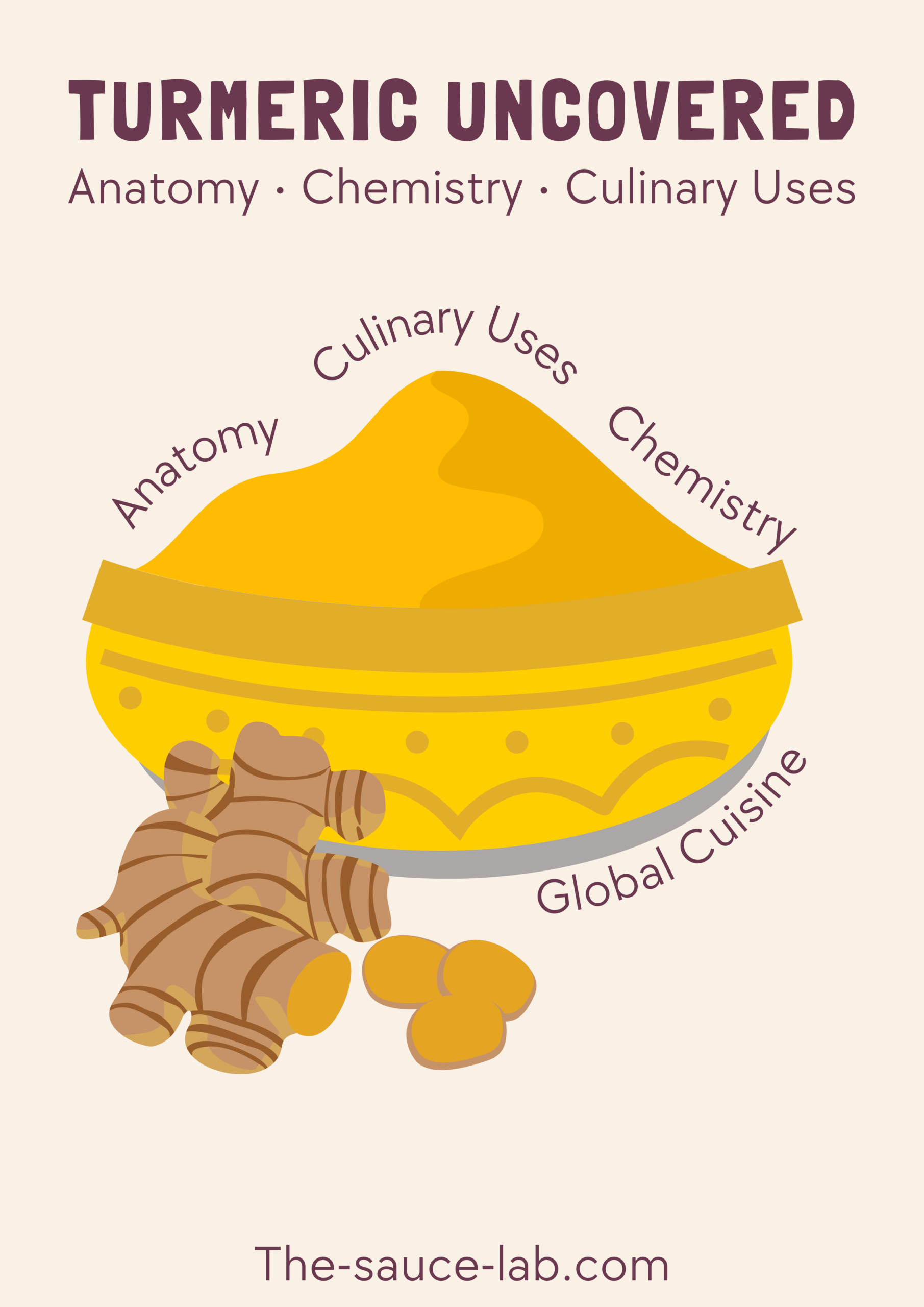 Turmeric Uncovered: Biology, Chemistry, and Culinary Uses