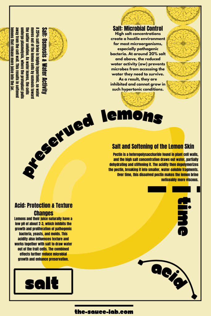 Infographic showing how salt, acid, and time work together to preserve lemons. Illustrates osmosis drawing water out of lemon cells, microbial control by salt, softening of lemon skin by pectin breakdown, and protection from bacteria due to acidity.