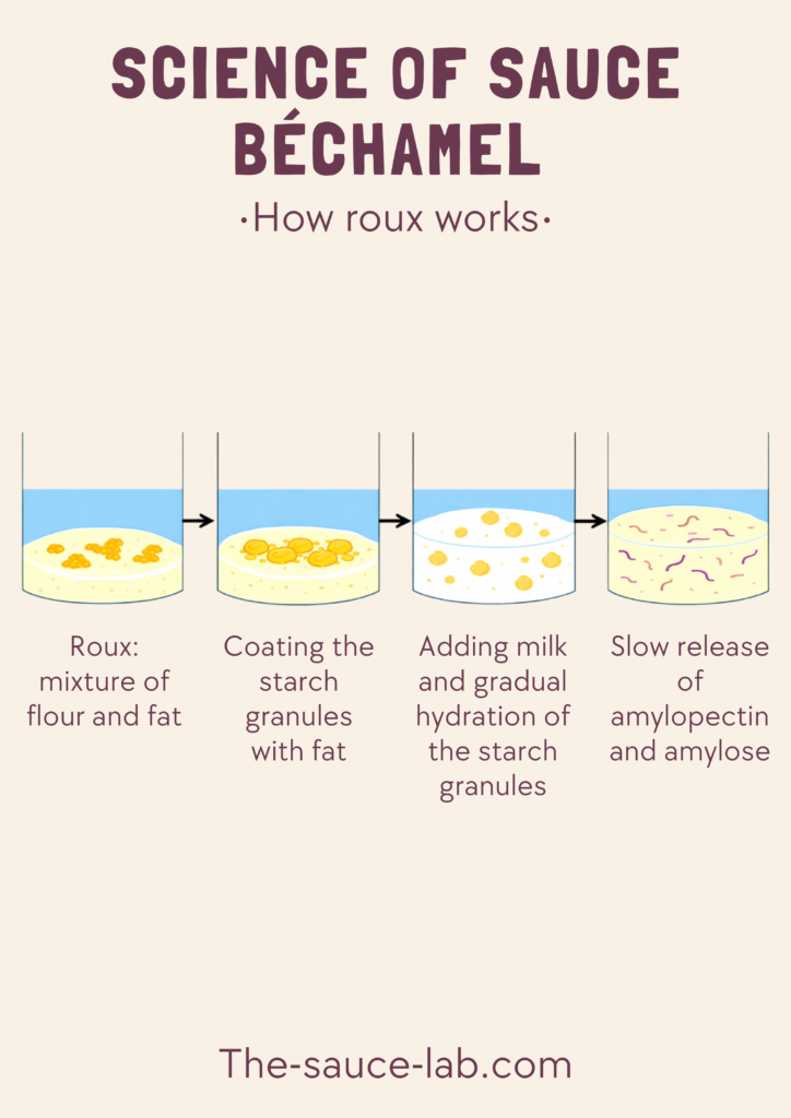 Infographic titled ‘Science of Sauce Béchamel: How roux works.’ A step-by-step diagram shows four stages in a saucepan: (1) roux as a mixture of flour and fat, (2) starch granules coated with fat, (3) milk added causing gradual hydration of starch granules, and (4) slow release of amylose and amylopectin forming a thickened sauce. Arrows indicate progression from left to right.