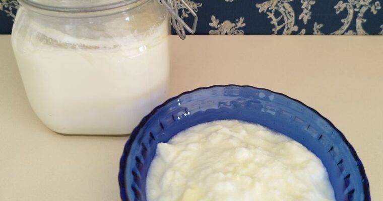 Bulgarian Yogurt: From Ancient Traditions to Your Kitchen