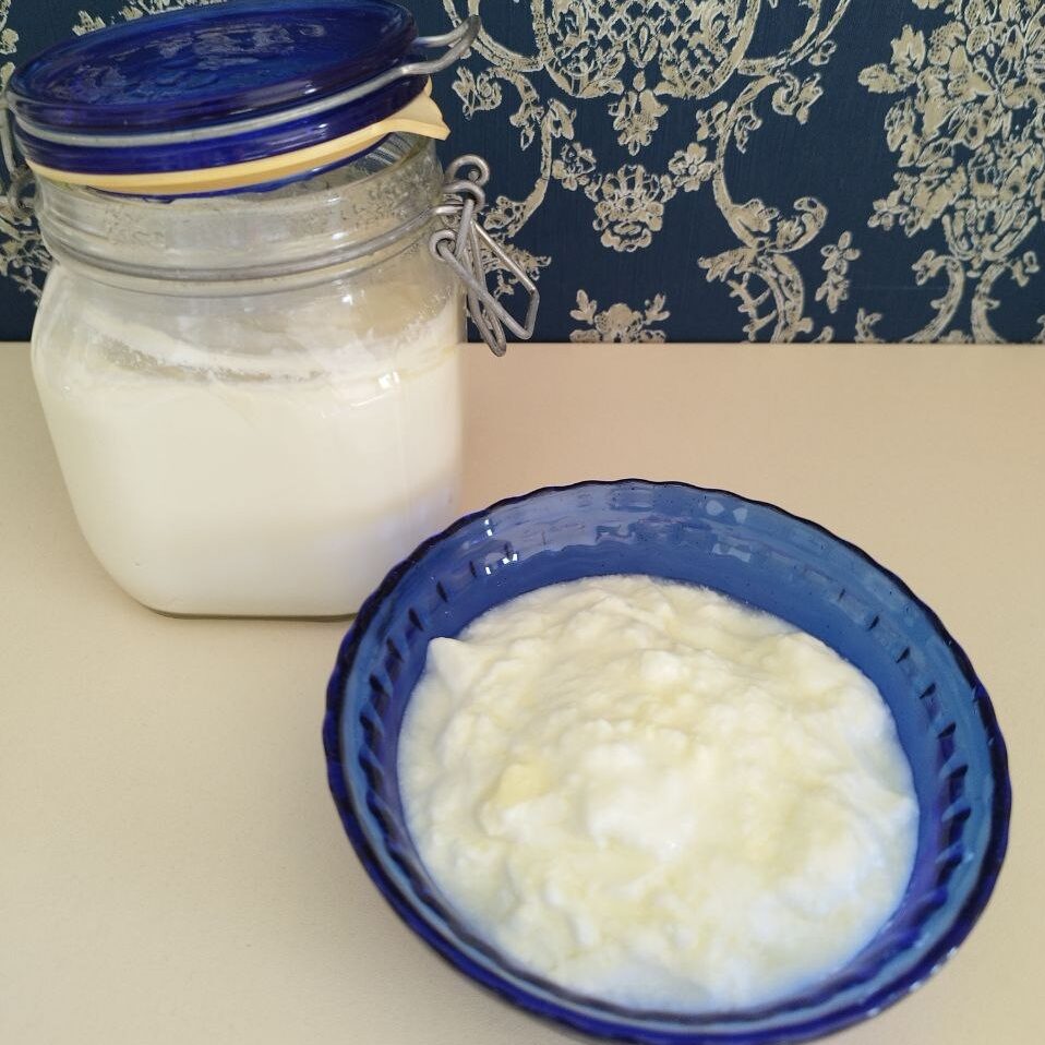 Bulgarian Yogurt: From Ancient Traditions to Your Kitchen