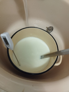 Rapid cooling of the milk.