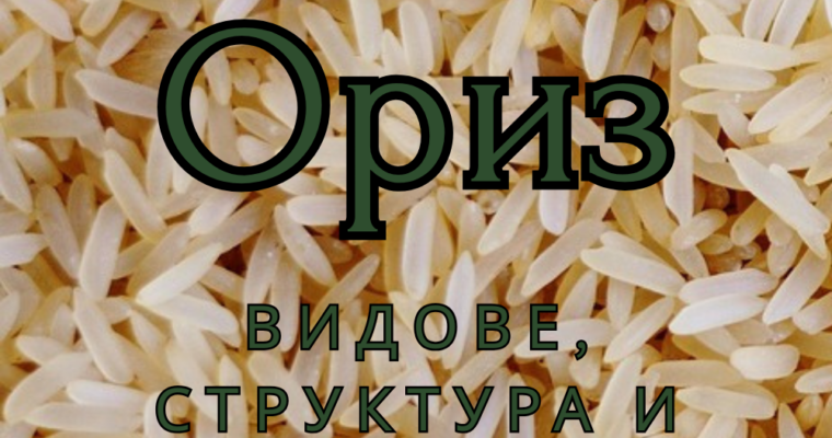 Ориз: Сортове, Структура и Класификация