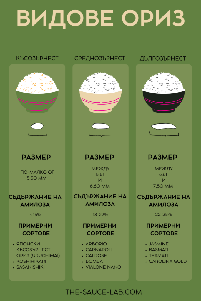 Инфографика, показваща видовете ориз – късозърнест, среднозърнест и дългозърнест. За всеки вид е посочен размерът на зърното, съдържанието на амилоза и примерни сортове ориз. Късозърнест: зърна по-малки от 5,50 мм, амилоза