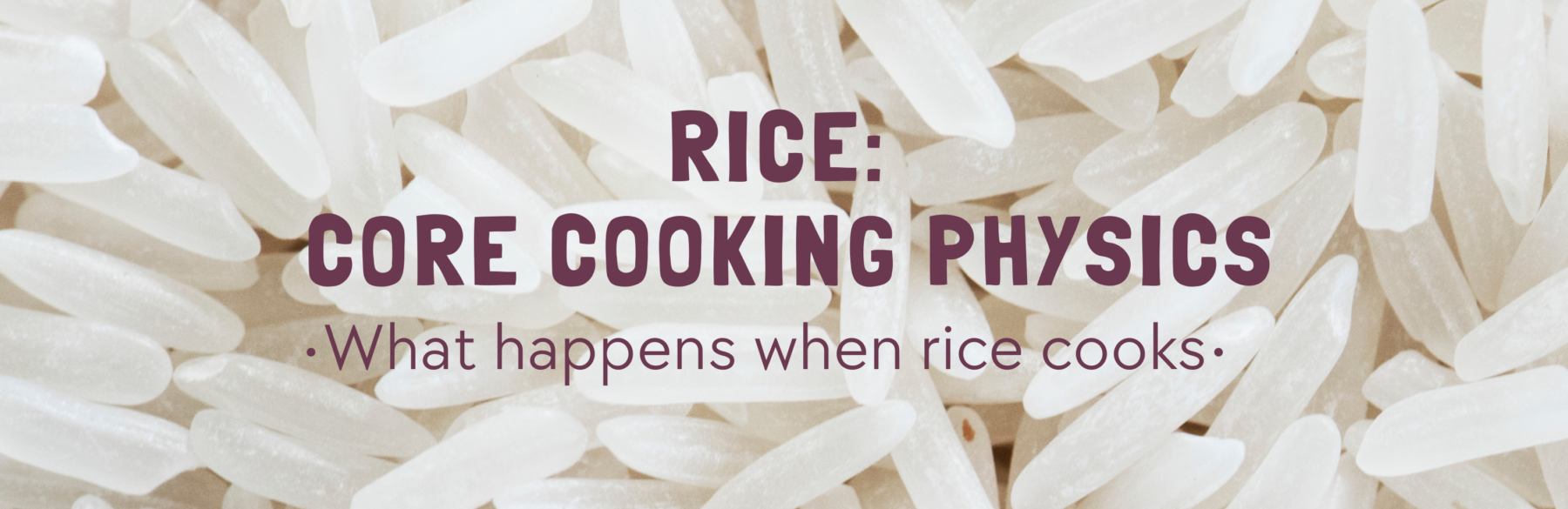 Rice: Core Cooking Physics (Foundational)