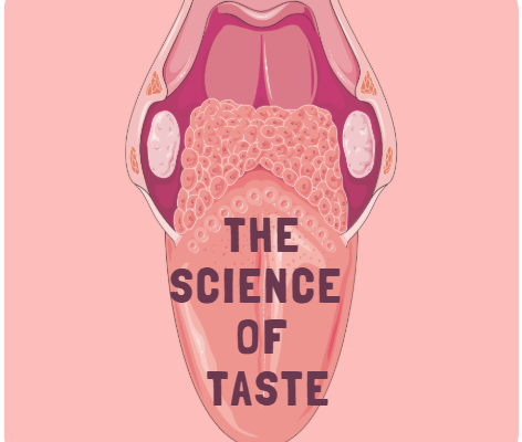The Science of Taste